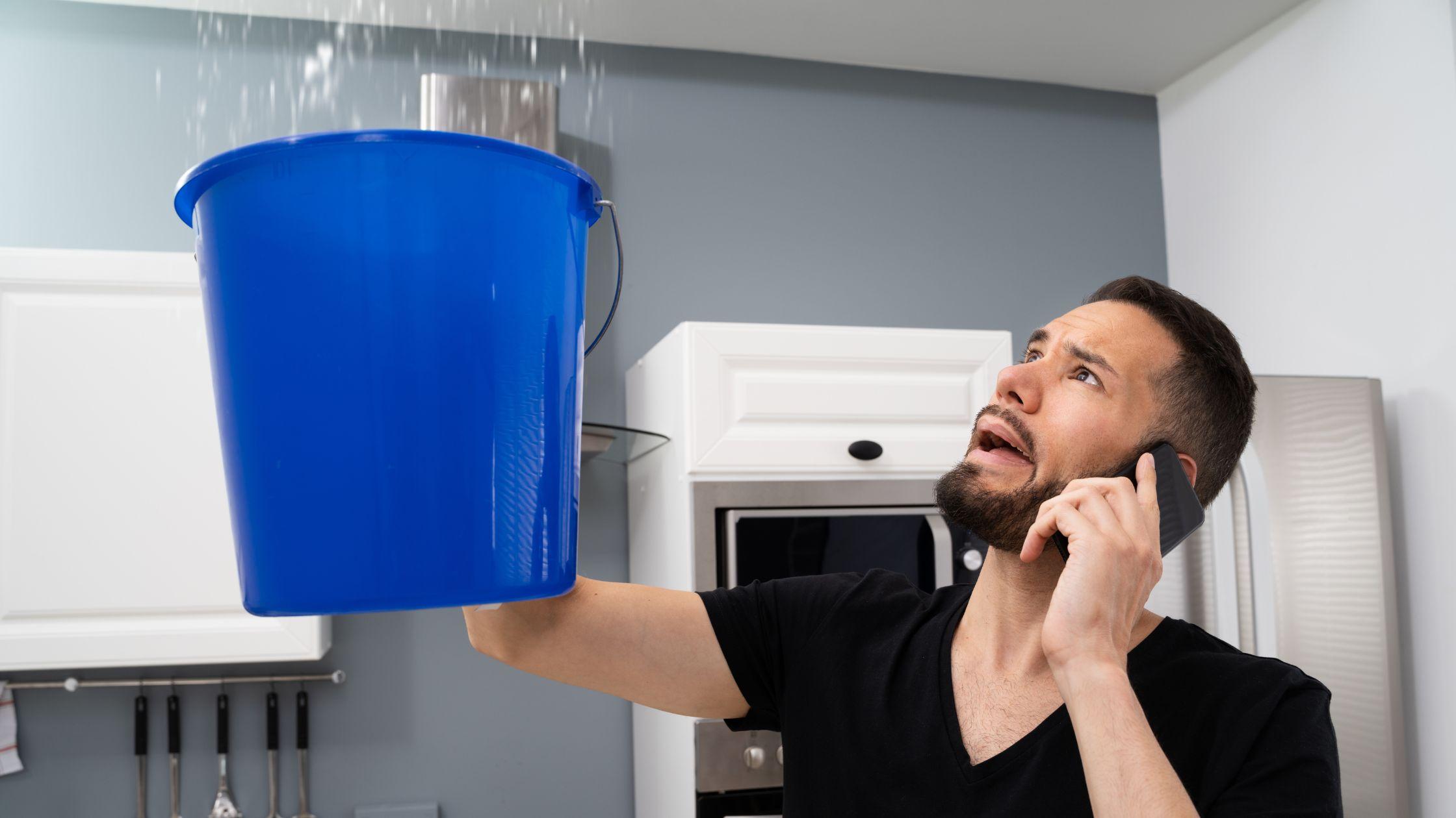 What Does Professional Water Damage Restoration Look Like?