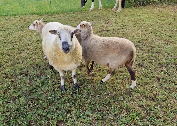 Best Hotels in Castle Combe Chippenham Village