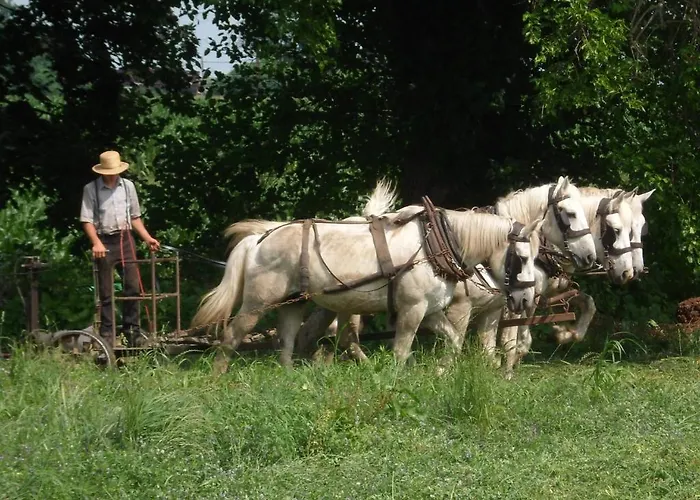 Top Ronks Hotels for an Unforgettable Stay