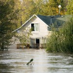 Flood Cleanup Services